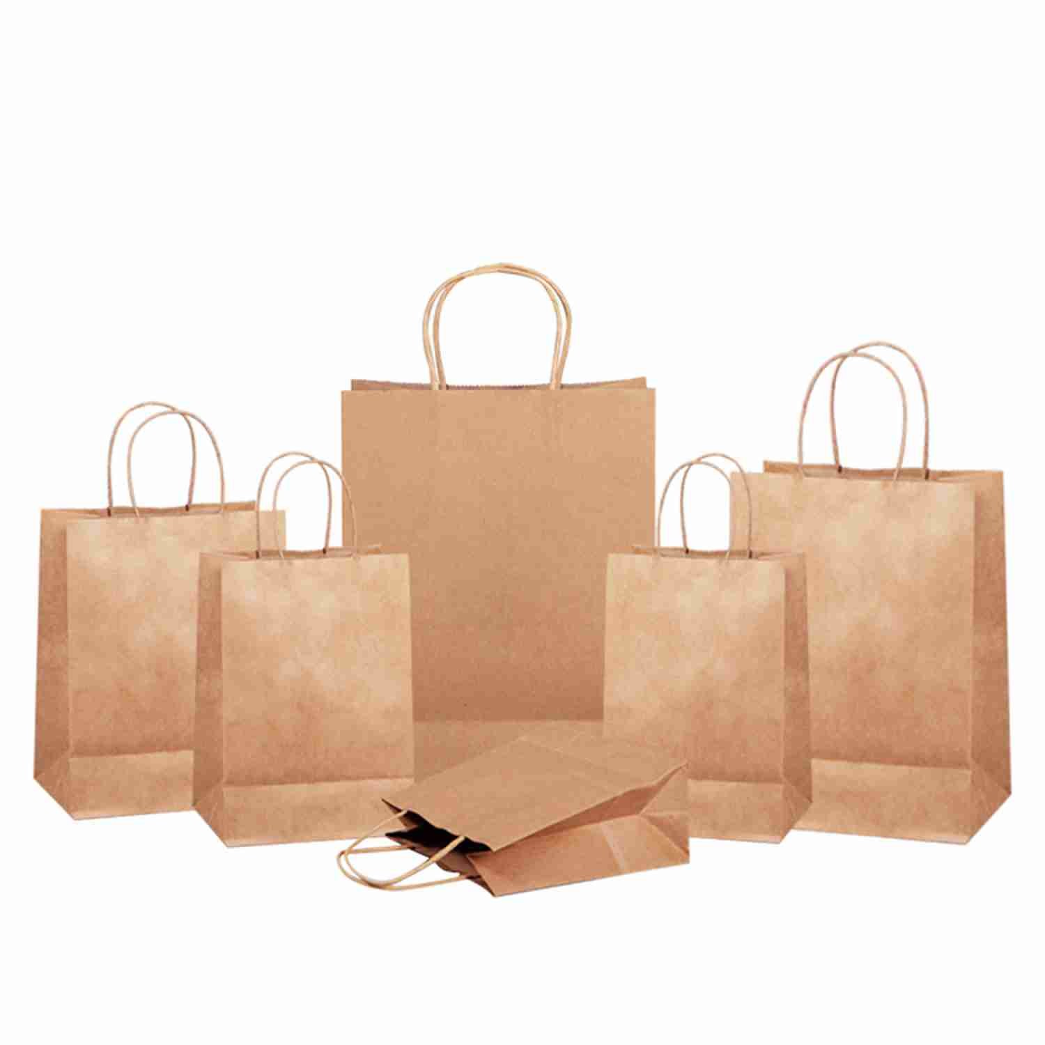 SGS Offset Printing Brown Kraft Paper Shopping Bags For Retail Store
