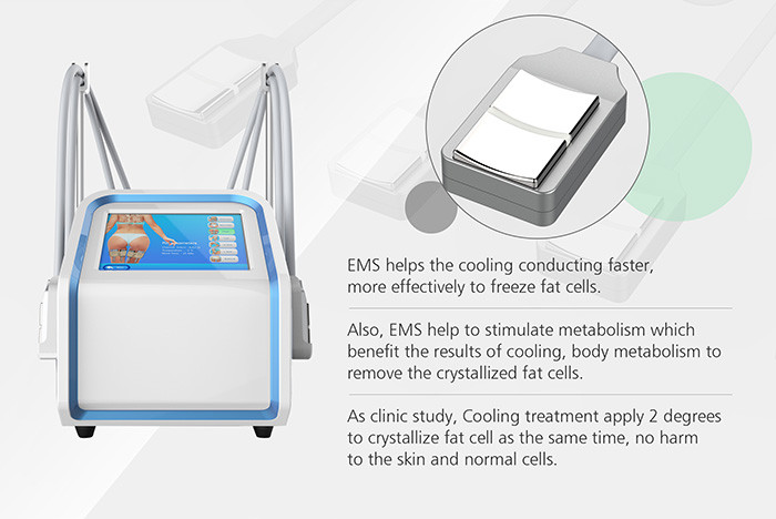 Easy Use Portable EMS Sculpting Machine , Fat Freezing Equipment For Body Shaping