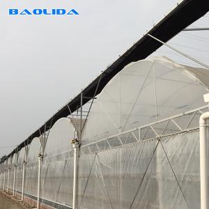 China 200 Micron Film Tomato Growing Plastic Tunnel Greenhouse Multi Span Greenhouse wholesale