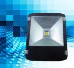 220v 110v 50w 3000k 6000k AC COB LED For Flood light & Street Light