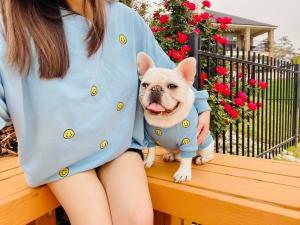 China Cat Dog Embroidery Matching Pet Owner Set 2XL - 4XL Happy Smiley Face wholesale