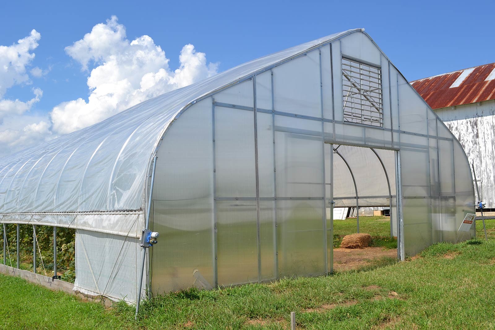 Single Span PE Film Greenhouse TUV Low Cost Poly Tunnel Greenhouse