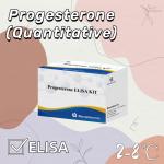 Sensitivity Elisa diagnostic reagent test Progesterone(Quantitative) for human