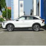 Compact SUV Gasoline Hybrid Cars Havelong 2023 1.5L 110km