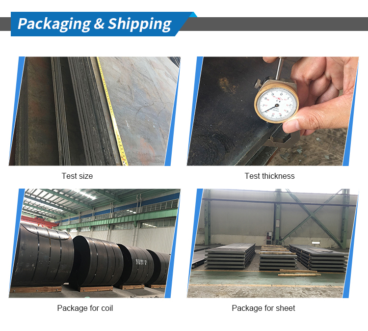 Customized Hot Rolled Carbon Steel Coil 3mm - 16mm Thickness HRC Steel Coils