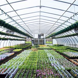 China Plastic Film Steel Frame Tunnel Greenhouse for Farm wholesale