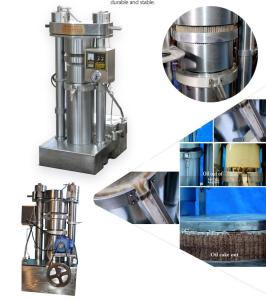China 230A Olive Coconut Avocado Oil Extracting Machine With 98% Oil Rate wholesale