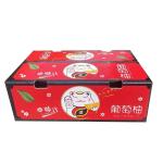 OEM Corrugated Box Inkjet Printer 50Hz Continuous Ink Supply System