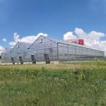 Industrial Polycarbonate Sheet Greenhouse Multi Span 8mm PC Panels For Flower