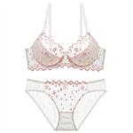 New Lace Bra Set