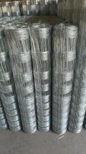 China Versatile Metal Link Fencing Powder Coated Finish Adjustable Post Lengths wholesale