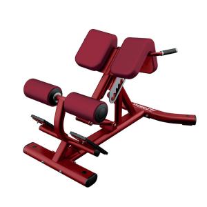 China Adjustable Roman Chair Back Extension Machine Physical Training Applied wholesale