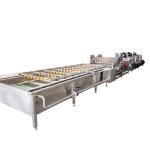 Water Recycling 400kg 800kg/H Leafy Vegetable Washing Machine