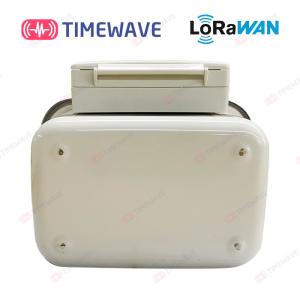 China Wireless LoRaWAN Gas Meter IoT Smart Prepaid Electricity Meters For Tenants​ Home wholesale