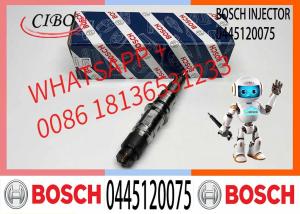 China Diesel Engine Common Rail Injector Assembly 0445120075 wholesale