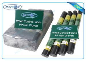 China Biodegradable Non Woven Landscape Fabric Roll Packing for Garden Plant Protection wholesale
