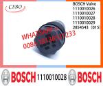 Pressure relief valve 1110010026 1110010027 1110010028 1110010029 2854543（015