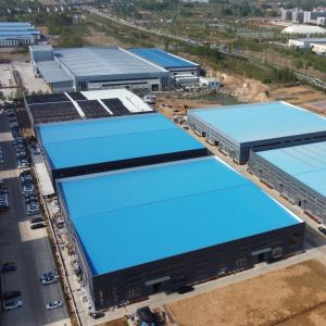 Q355B Steel Structure Warehouse with 50-Year Lifespan