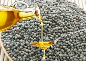 China High Oil Content Agricultural Products , Perilla Seeds 10% Max Moisture wholesale
