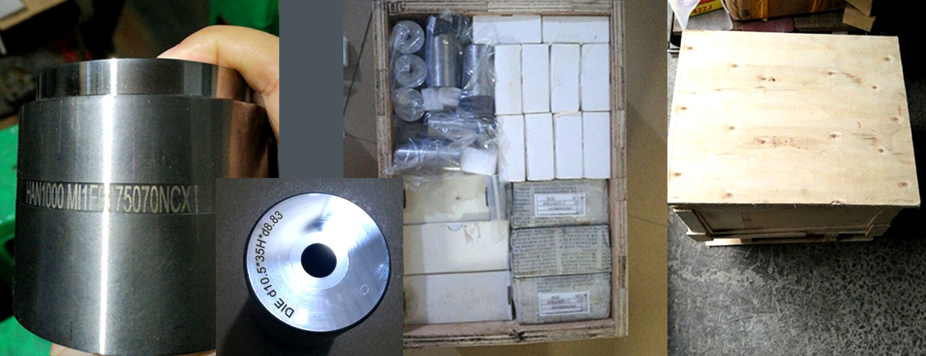 Straight Hole Carbide Main Die with High Quality Screw Die Manufacturer