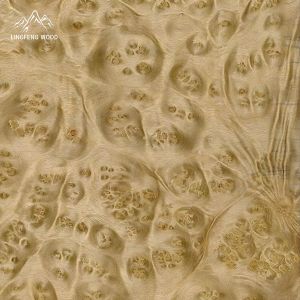 China Golden Madrone Burl Veneer | 0.45mm | LINGFENG wholesale