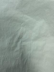China 40D*40D 100%N 90GSM Nylon Fabric wholesale