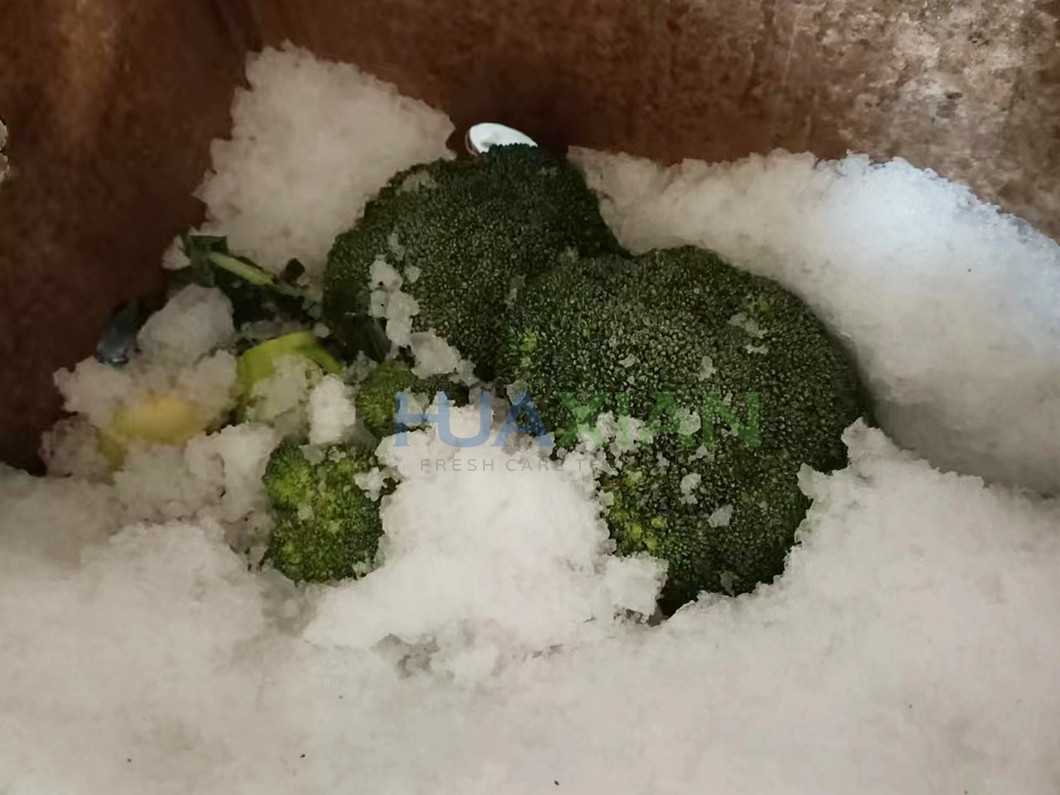 Broccoli Ice Injector Stainless Steel Manual Operation With Ice Machine