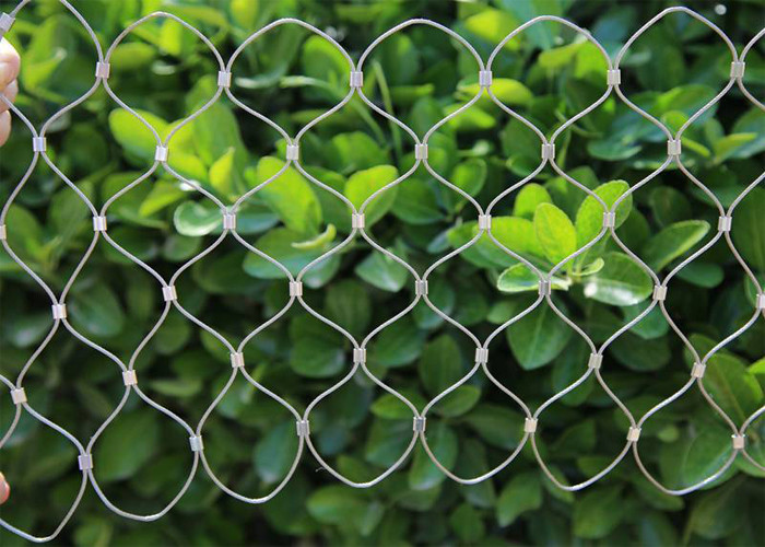 Outdoor Custom Decortaive 3.0mm Stainless Steel Rope Mesh Green Wall Cable Network Plant Climbing