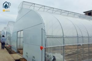 China Commercial Tunnel Flower Vegetable Growing Greenhouse Hot Galvanized Steel Structure wholesale