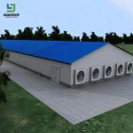 Prefabricated Cattle Goat House Steel Structure Dairy Farm Building Cow Barn