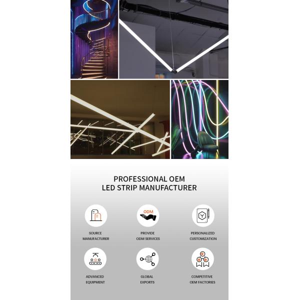 Outdoor Indoor LED Circular Neon Light Flex 360° IP67 Flexible Silicone Neon Strip