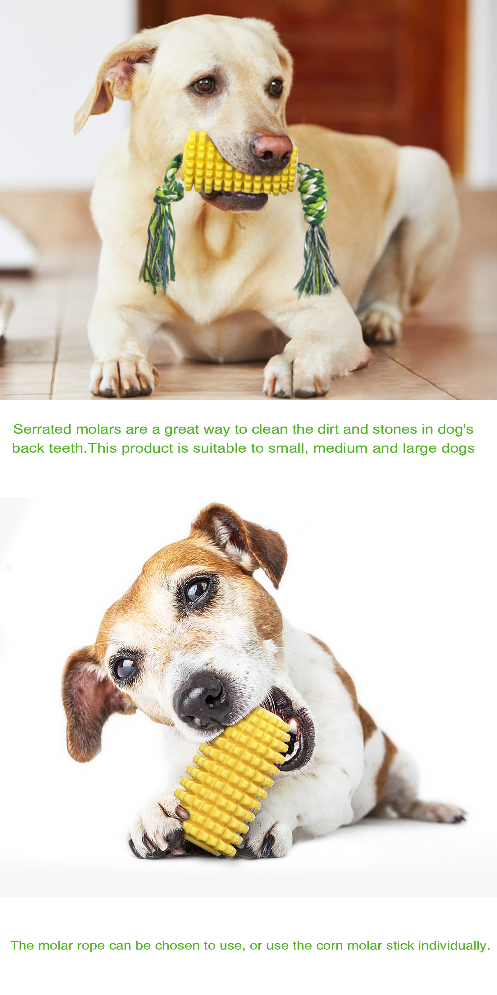 High-quality Clean Yellow Corn Molar Rod For Pet Animals With Customization