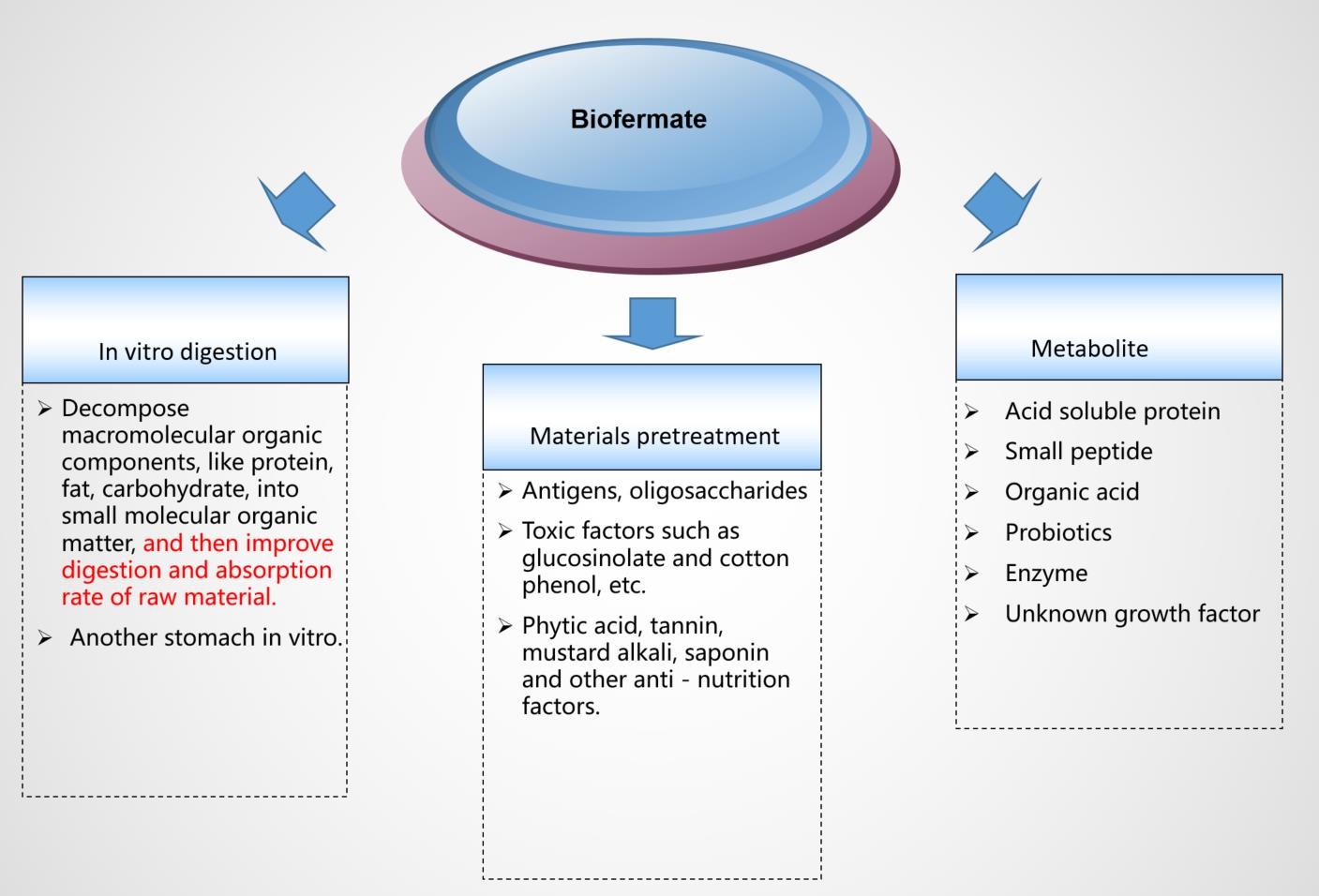 Fermentation Probiotics For Animal