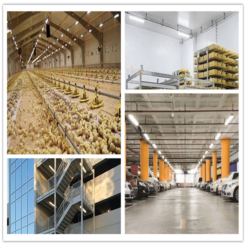 5000lm 36W 4FT Tri-Proof Shop Light 3500K/4000KK/5000K LED Vapor Tight for Industrial
