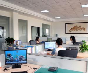 Hangzhou Costar Trade Co. Ltd.
