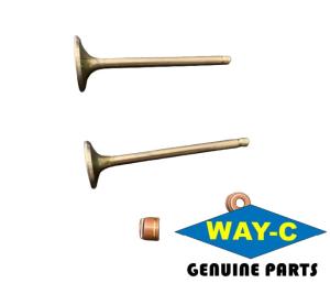 China DY511200 / DY511201 Engine Valve Kit Motorcycle Intake And Exhaust Valves wholesale