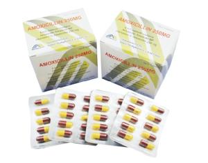 China Amoxicillin Capsules 250mg 500MG BP / USP /CP Antibiotics Medicines wholesale