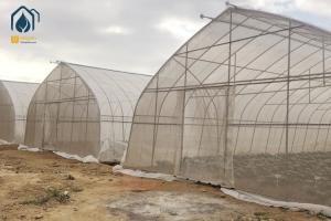 China Commercial Large Agricultural Greenhouse UV Film Vegetable Hydroponic Greenhouse wholesale