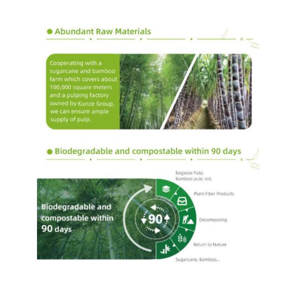 OEM Disposable Food Packaging Containers FSC Sugarcane Disposable Bowl Plates