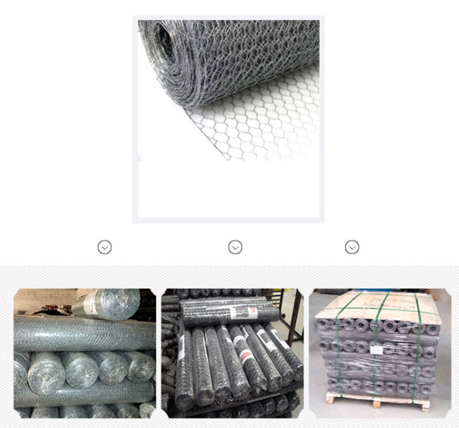 BWG 24 Silver 100ft Chicken Wire Mesh Fence Electro Galvanized Hexagonal