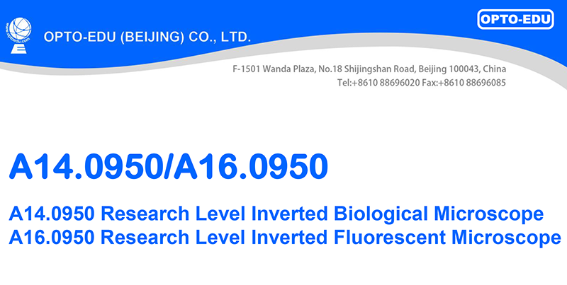 Opto Edu A14.0950 Research Level Inverted Biological Microscope Mortorized Condenser