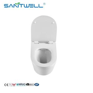 China Hot Selling SWA625 Luxury Sanitary Ware Product Washdown Rimless Flushing Wall Hung Toilets WC wholesale
