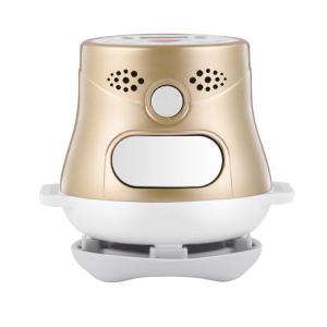 China Mini Pain Relief Massage Machine China Moxibustion Apparatus 60Hz/50Hz wholesale