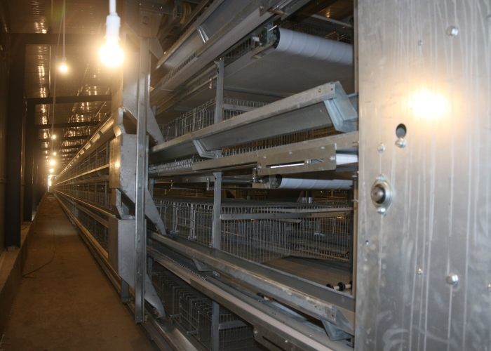 Energy Saving Automated Poultry Equipment Simple Structure 1200×600×480 Mm