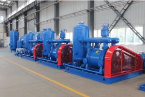China Blue One Stage Vacuum Pump Units Low Noise Carbon Steel Material wholesale