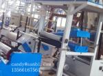 Extrusion Blowing Machine Blow Molding Equipment 100-800mm Width