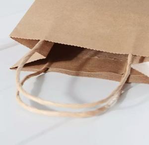 China Custom Luxury Gift Garment Paper Shopping Bags With Logo Print wholesale