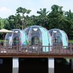 Fire Resistance Bubble Tent Hotel Geodesic See Through Dome Tent