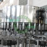 15000BPH CGF32-32-10 SUS304/316 Water Auto Bottle Filling Machine