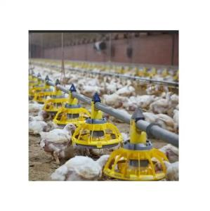 China Environment Control Animal Husbandry / Poultry Farm Equipment Automatic Feeding Chicken wholesale